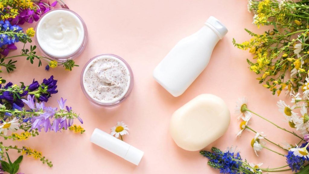 Plants are Purple Erfahrungen 2024 - Das kann die Naturkosmetik aus Berlin